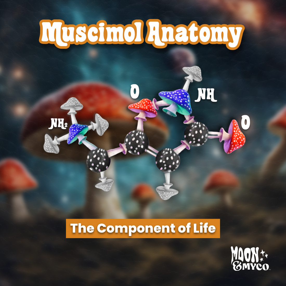 Muscimol and Psilocybin-what's the difference